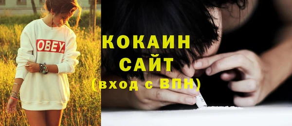 шишки Наволоки