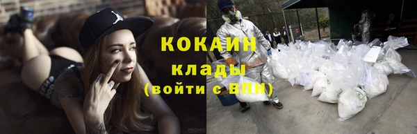 дживик Навашино