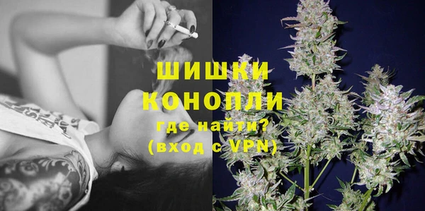 гидропоника Бородино