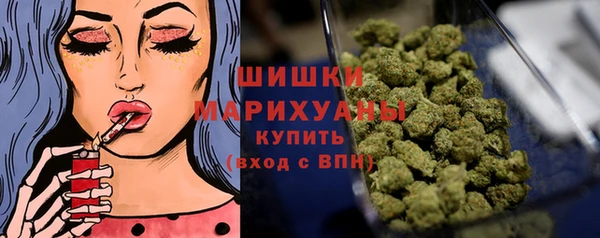 шишки Наволоки