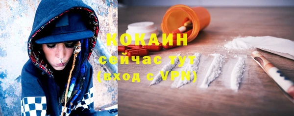 шишки Наволоки